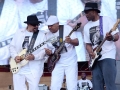 Chicago-Blues-Festival-2017-19