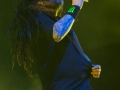 Chicago Open Air Day 2 2017 04