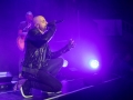 Daughtry 13