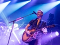 Daughtry 14
