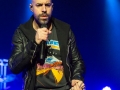 Daughtry 13