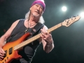 Deep Purple 13