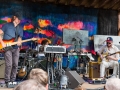 Eaux Claires Day 2 2017 15
