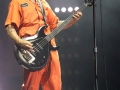 Green-Day-2024-12