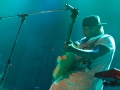 Highly Suspect 12