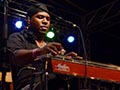 Illinois Blues Festival