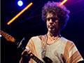 Illinois Blues Festival