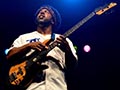 Illinois Blues Festival