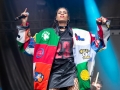 Lollapalooza 10