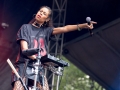 Lollapalooza 11