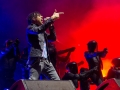 Lollapalooza 11