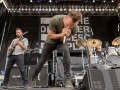 Riot Fest 14