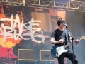 Riot Fest 14