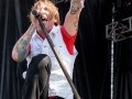 Riot Fest 16