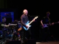 Robin-Trower-19