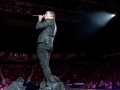 Shinedown 12