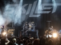 Skillet 20