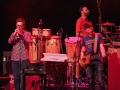 Snarky Puppy 02