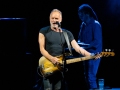Sting-2019-11
