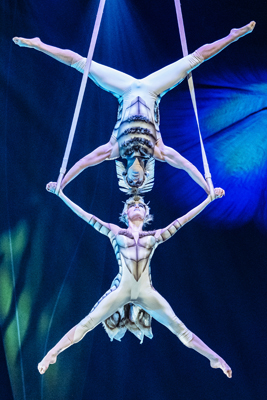 Cirque du Soleil