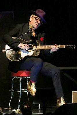 Elvis Costello