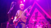 Toadies