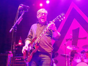 Toadies