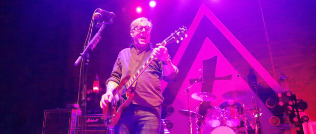 Toadies