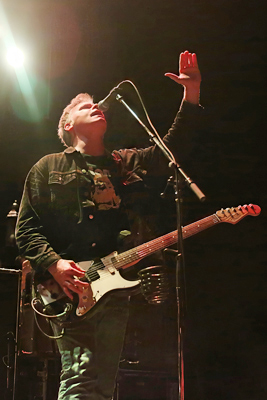 Toadies