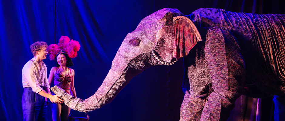 Water For Elephants
